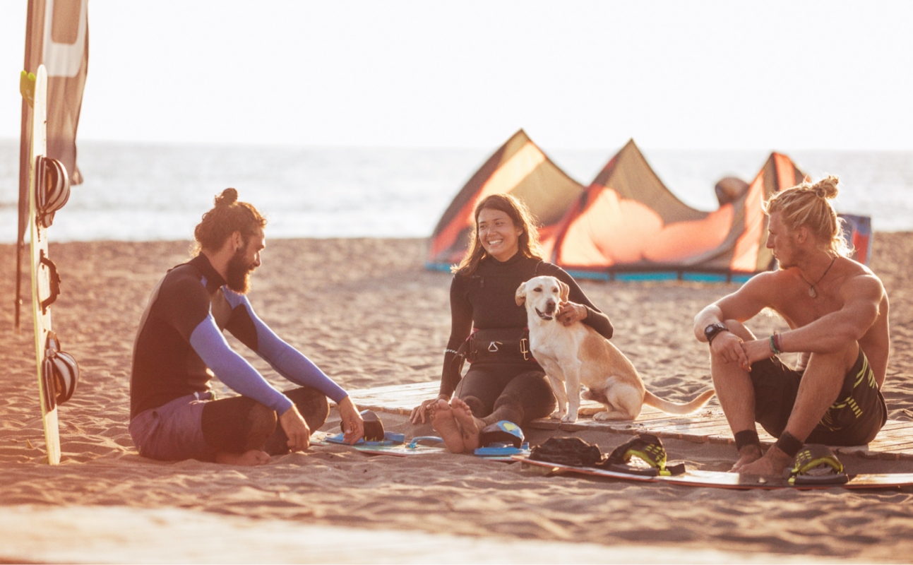 people on beach with dog Neighborhood
